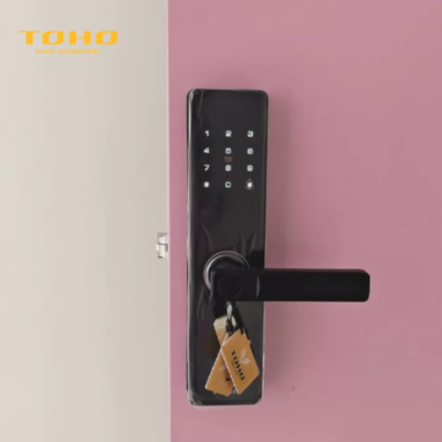 Khóa vân tay cửa phòng ngủ TOHO TH729